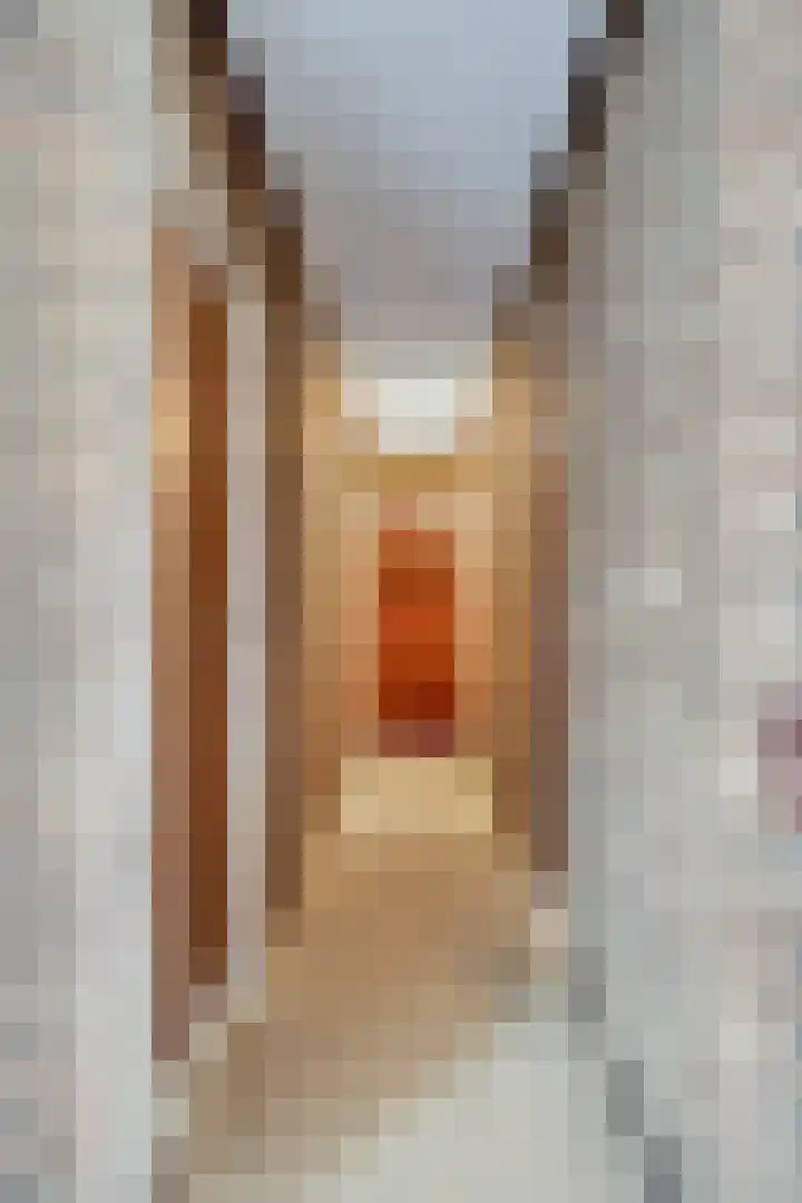 Breestraat 1 Hoogeloon thumbnail 36