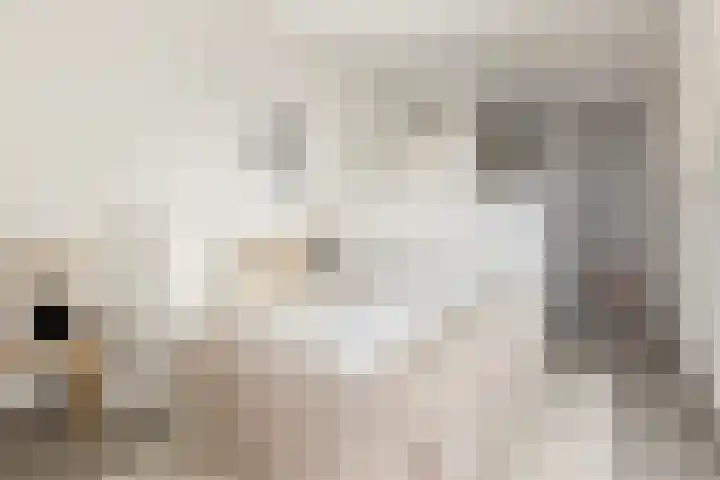 Breestraat 1 Hoogeloon thumbnail 44