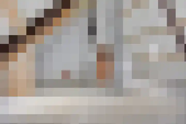 Breestraat 1 Hoogeloon thumbnail 47