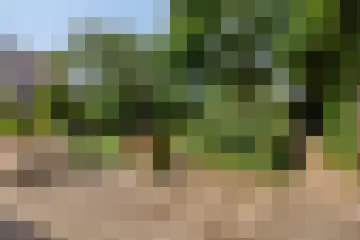 Breestraat 1 Hoogeloon thumbnail 52