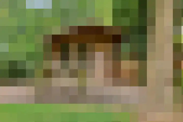 Breestraat 1 Hoogeloon thumbnail 54
