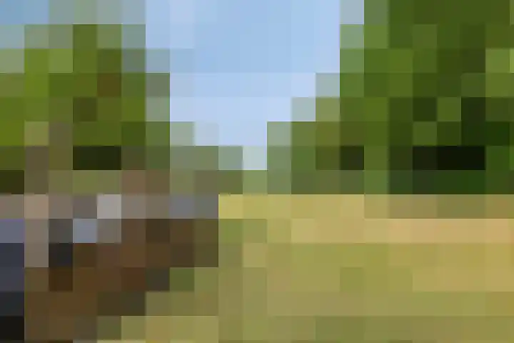 Breestraat 1 Hoogeloon thumbnail 55
