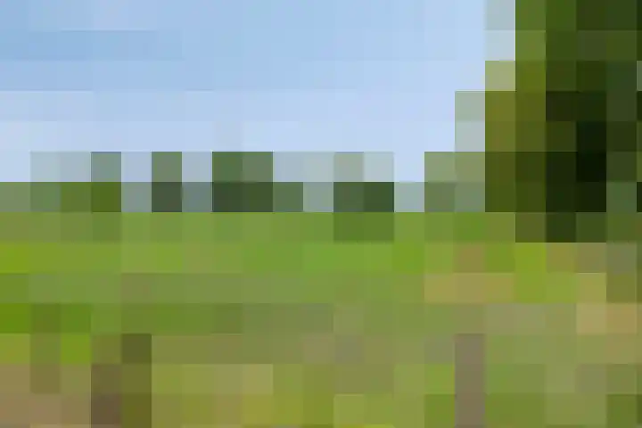 Breestraat 1 Hoogeloon thumbnail 57
