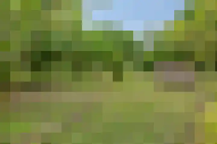 Breestraat 1 Hoogeloon thumbnail 58