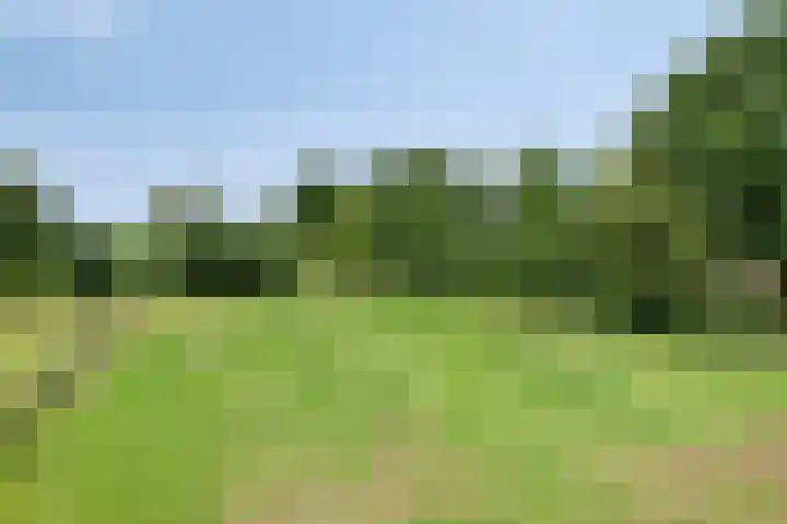 Breestraat 1 Hoogeloon thumbnail 61