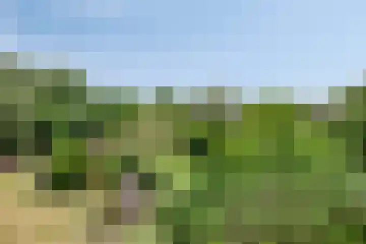Breestraat 1 Hoogeloon thumbnail 62