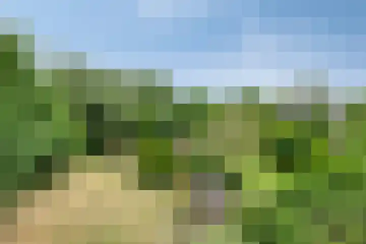 Breestraat 1 Hoogeloon thumbnail 63