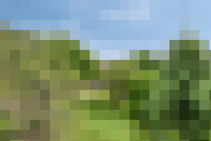 Breestraat 1 Hoogeloon thumbnail 64