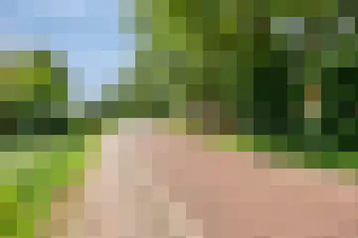 Breestraat 1 Hoogeloon thumbnail 7