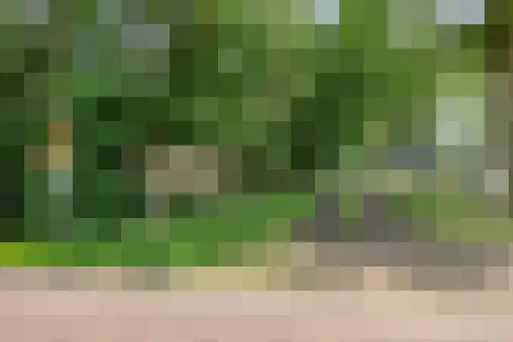 Breestraat 1 Hoogeloon thumbnail 8