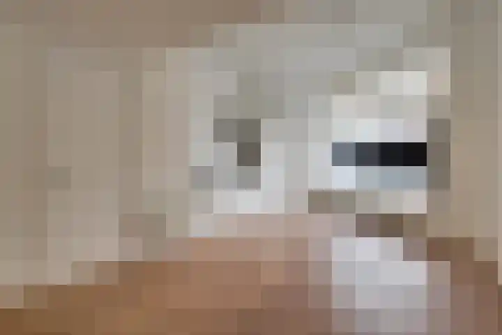 Breestraat 1 Hoorn thumbnail 9