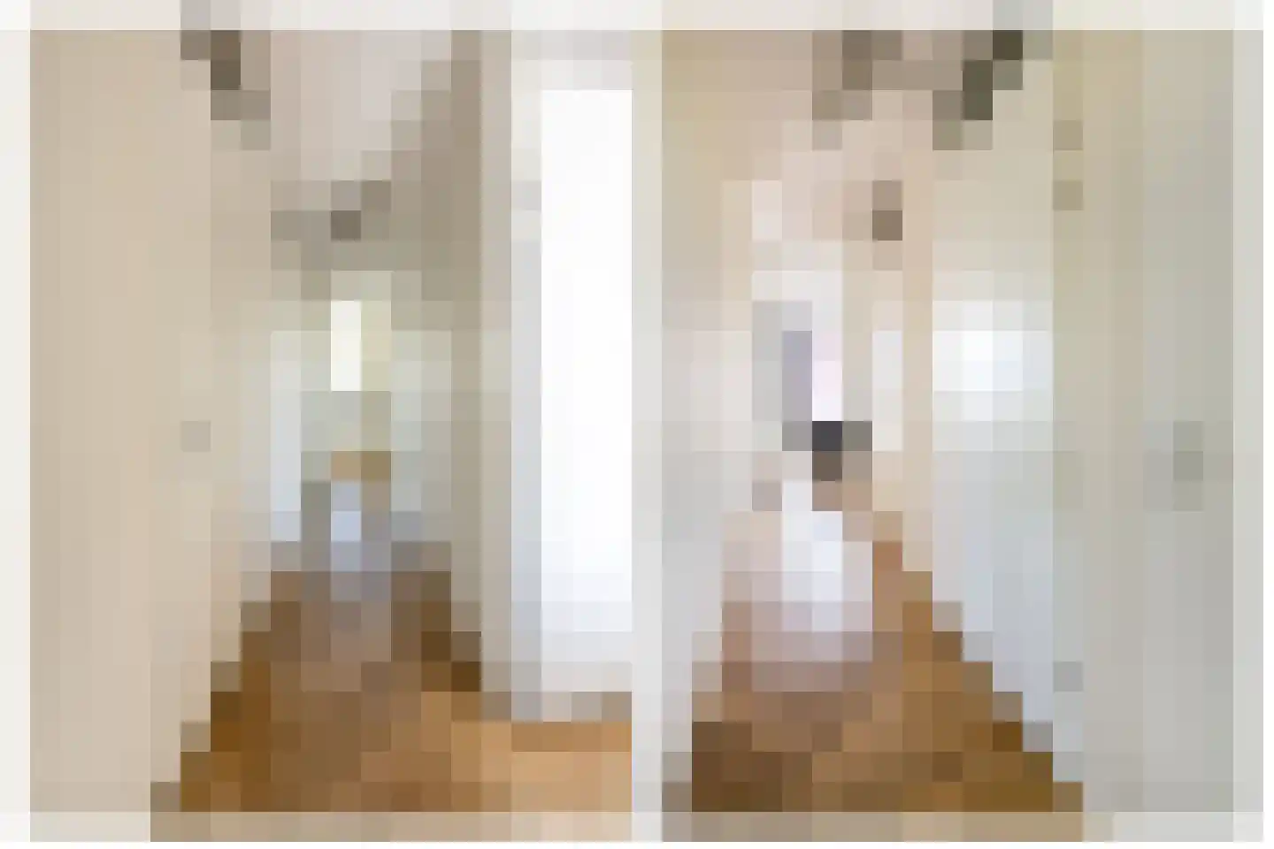 Breestraat 1 T Putte thumbnail 21