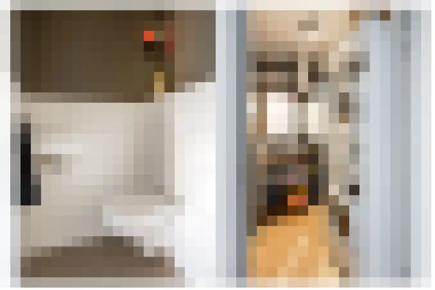 Breestraat 1 T Putte thumbnail 24