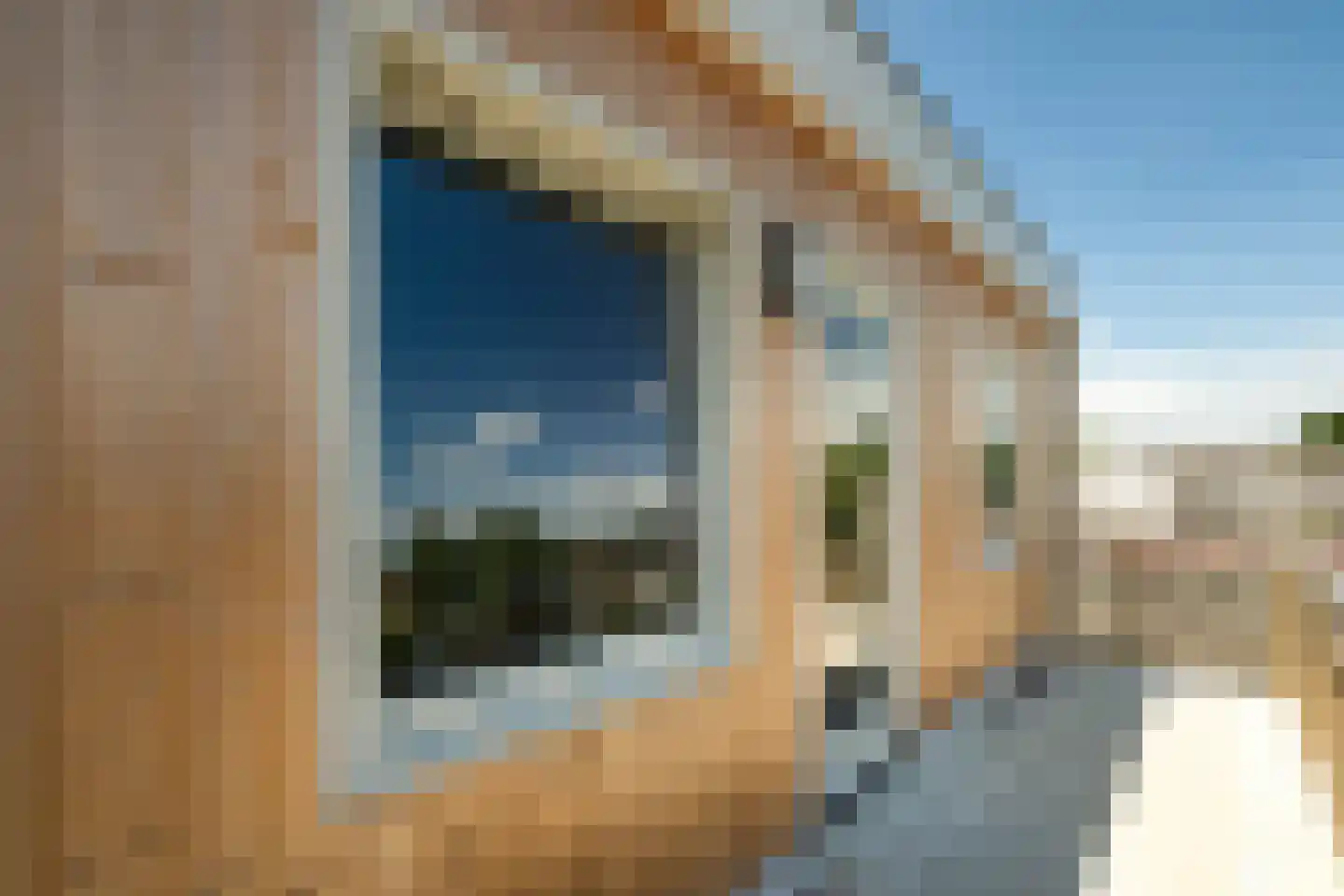 Breestraat 1 T Putte thumbnail 25