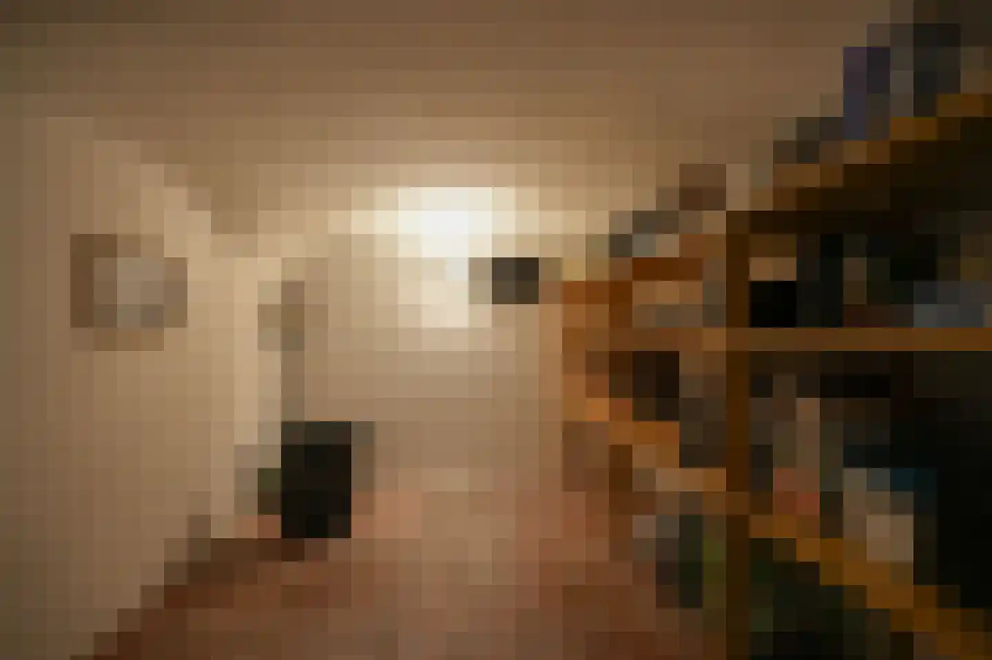 Breestraat 12 Heusden thumbnail 21
