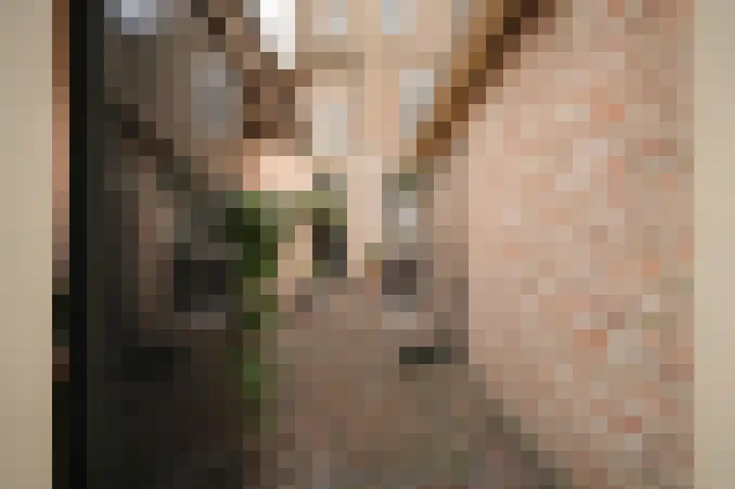 Breestraat 12 Heusden thumbnail 40