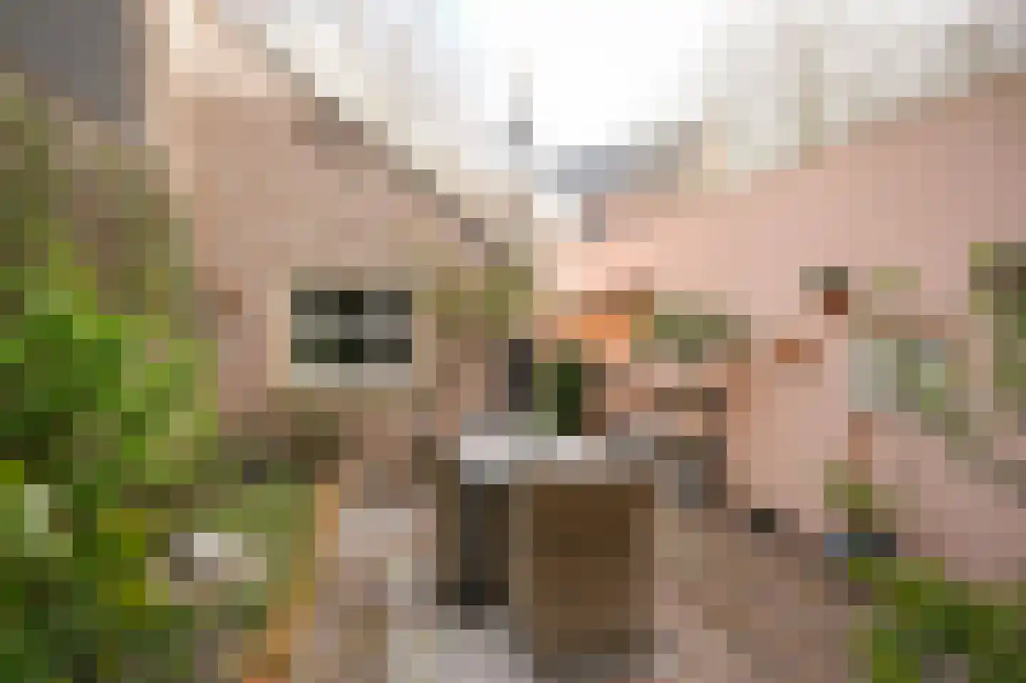 Breestraat 12 Heusden thumbnail 43