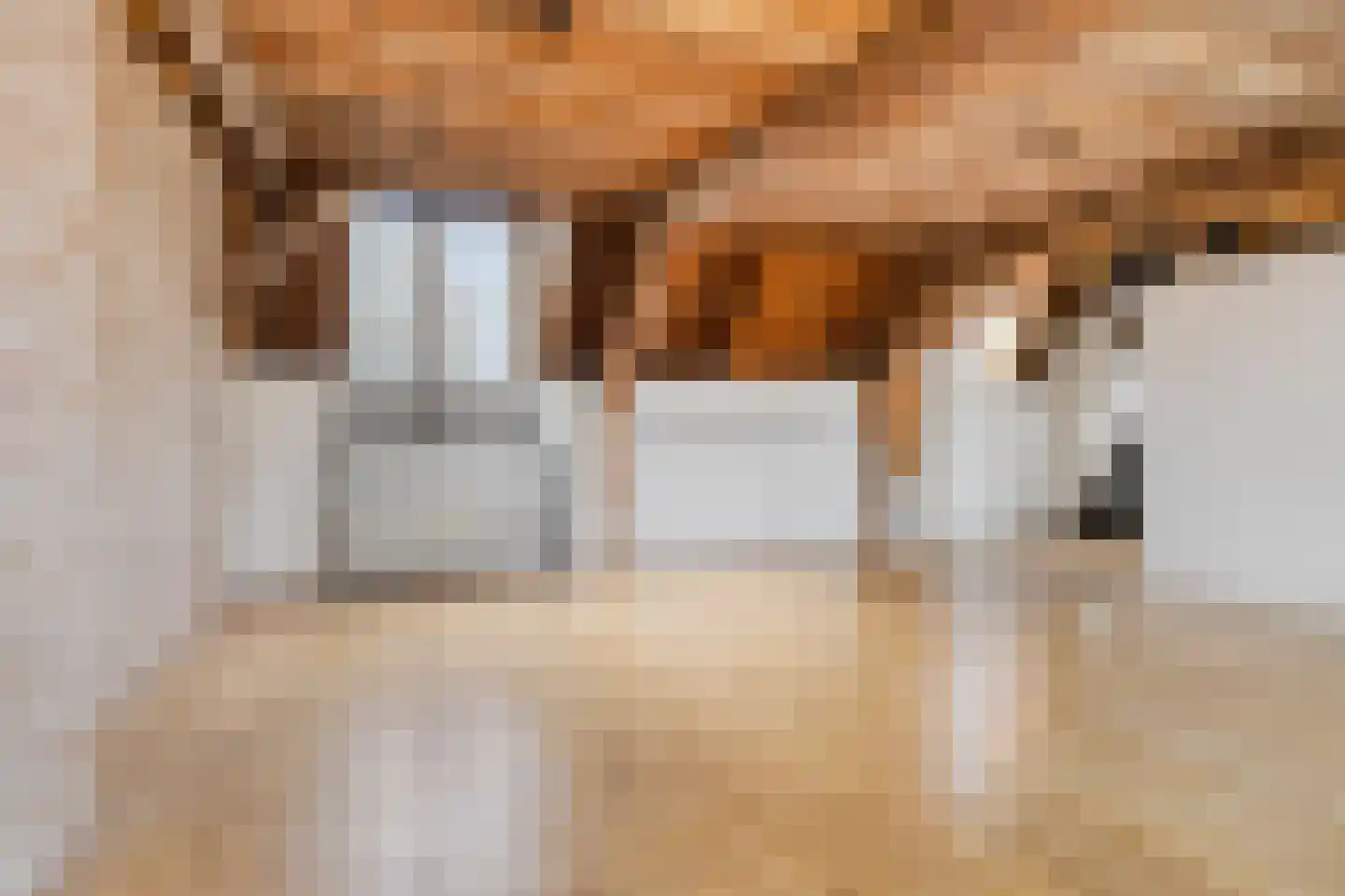 Breestraat 123 B Leiden thumbnail 9