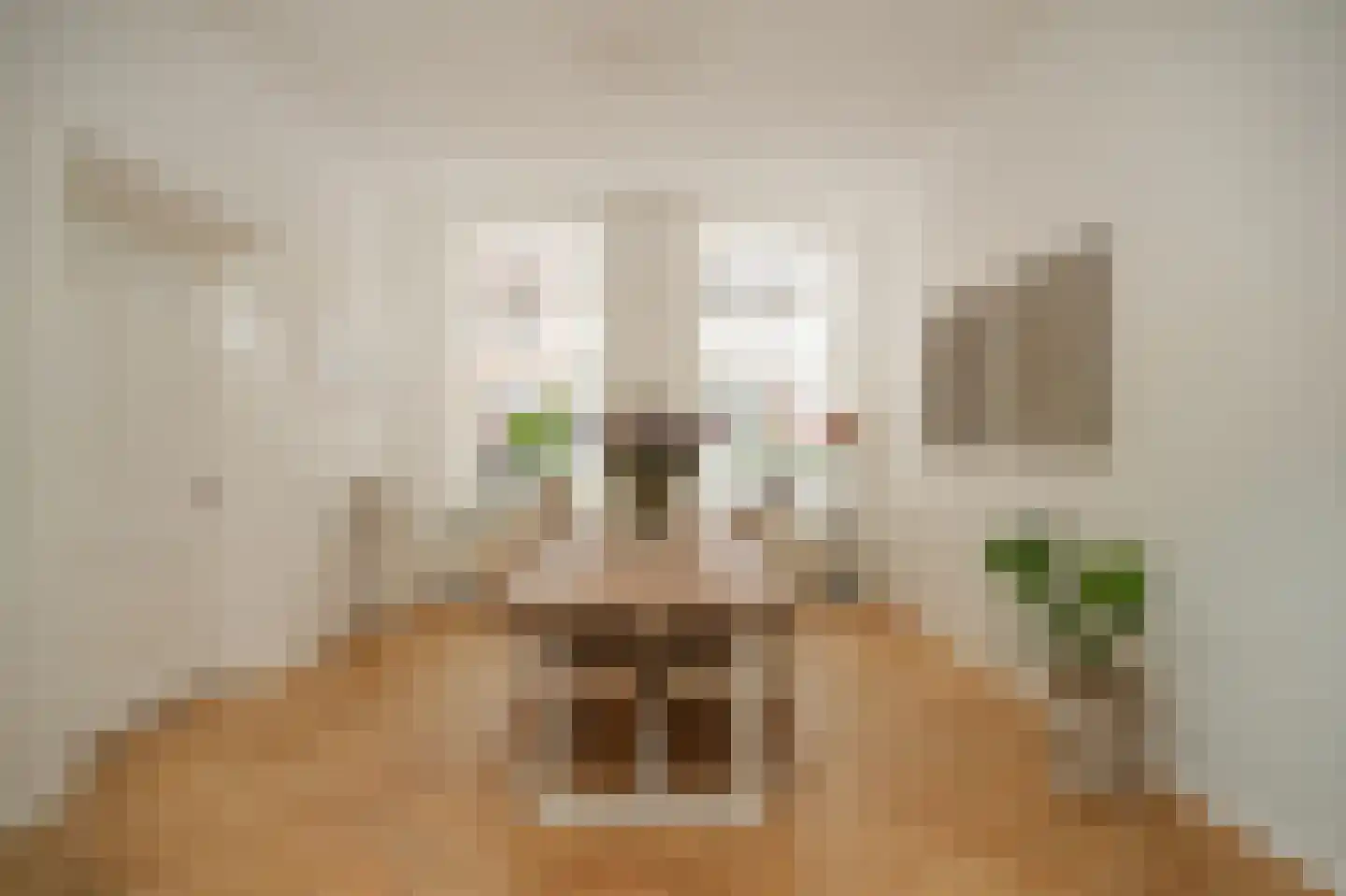 Breestraat 14 Heusden thumbnail 12