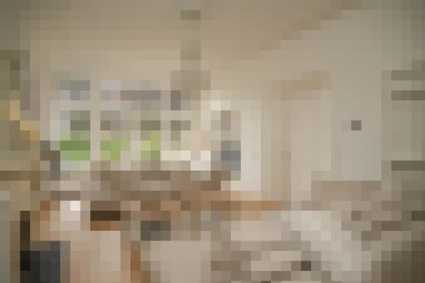 Breestraat 14 Heusden thumbnail 16