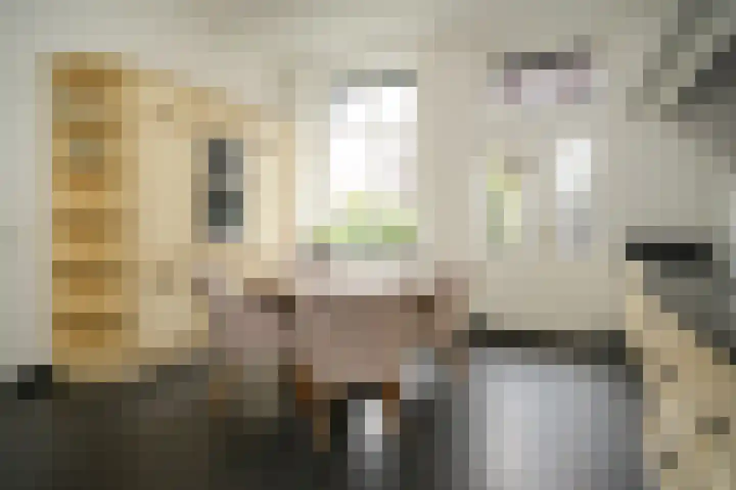 Breestraat 14 Heusden thumbnail 19