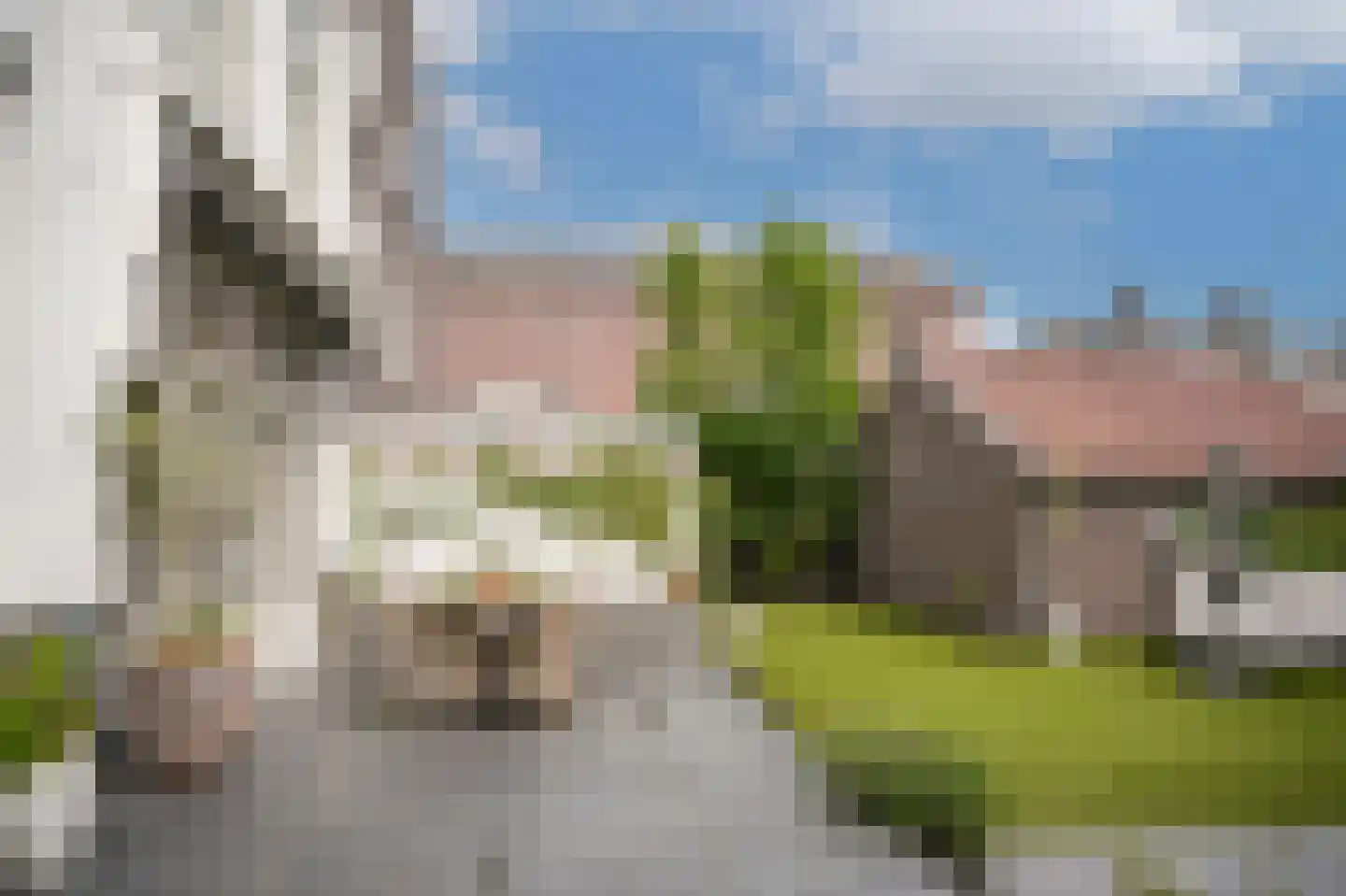 Breestraat 14 Heusden thumbnail 36