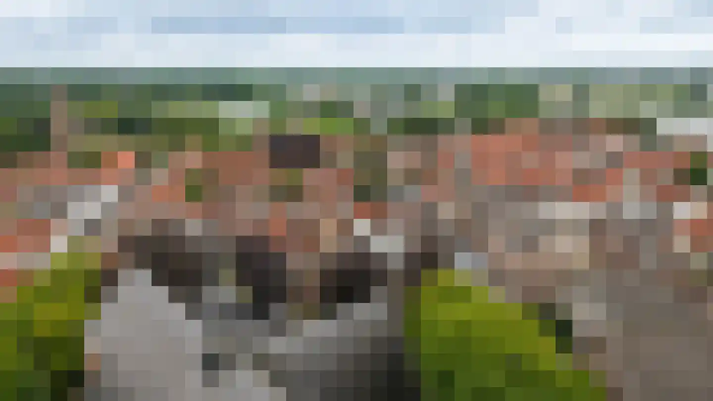 Breestraat 14 Heusden thumbnail 45
