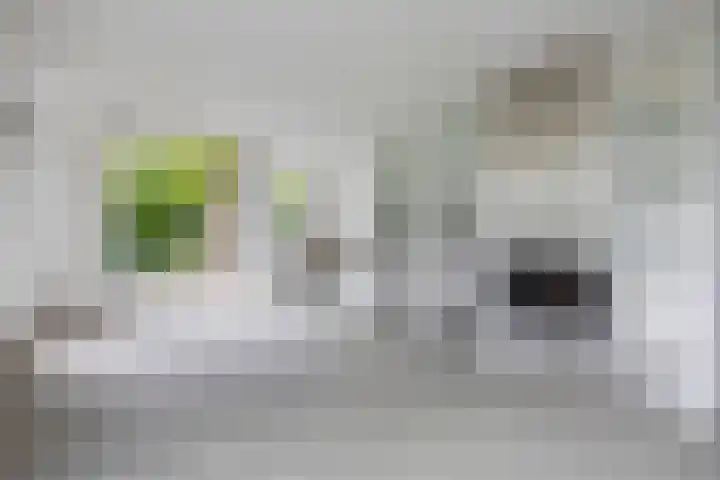 Breestraat 14 Krimpen aan den IJssel thumbnail 15