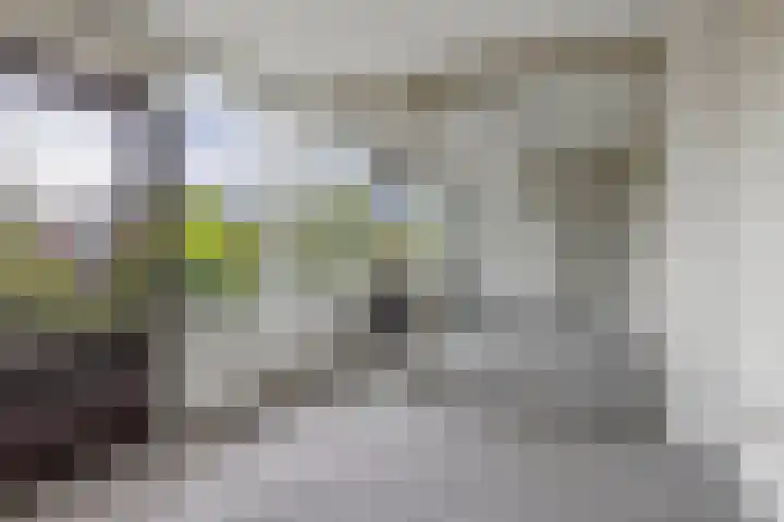 Breestraat 14 Krimpen aan den IJssel thumbnail 32