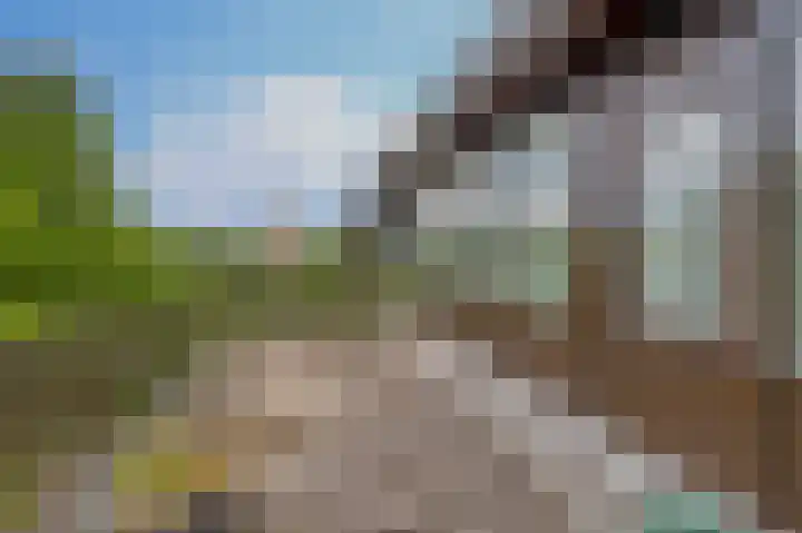 Breestraat 14 Krimpen aan den IJssel thumbnail 33