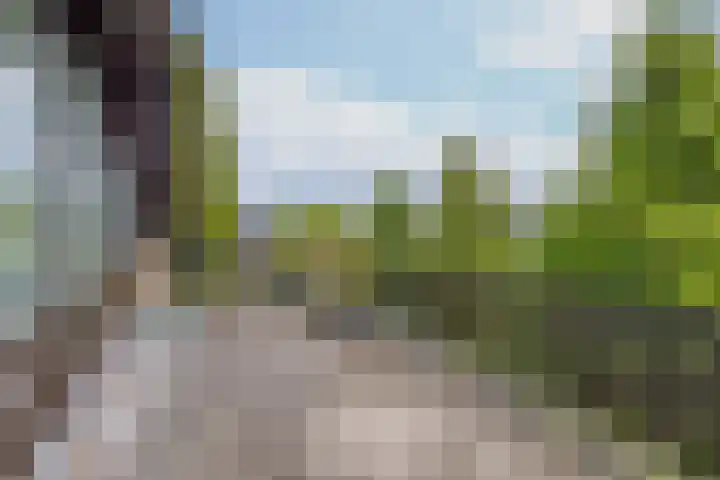 Breestraat 14 Krimpen aan den IJssel thumbnail 34