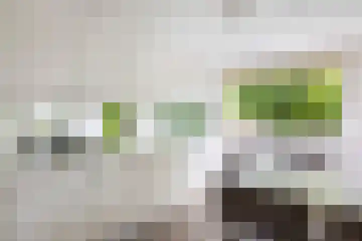Breestraat 14 Krimpen aan den IJssel thumbnail 4