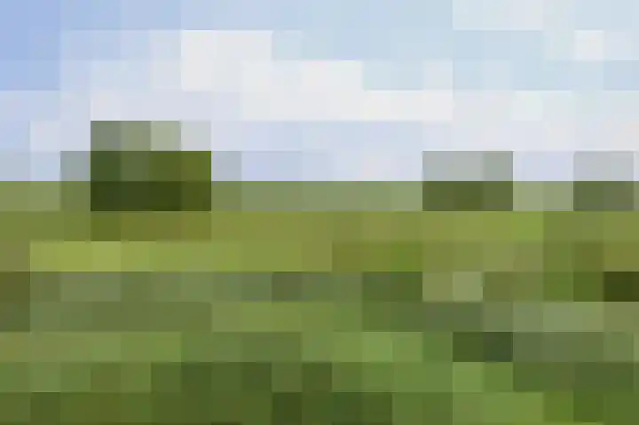 Breestraat 14 Krimpen aan den IJssel thumbnail 5