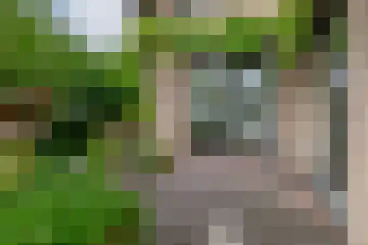 Breestraat 14 Krimpen aan den IJssel thumbnail 56