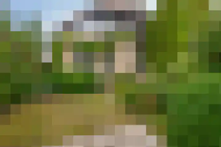Breestraat 14 Krimpen aan den IJssel thumbnail 57