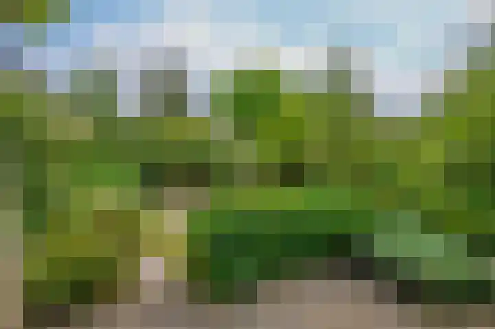 Breestraat 14 Krimpen aan den IJssel thumbnail 59