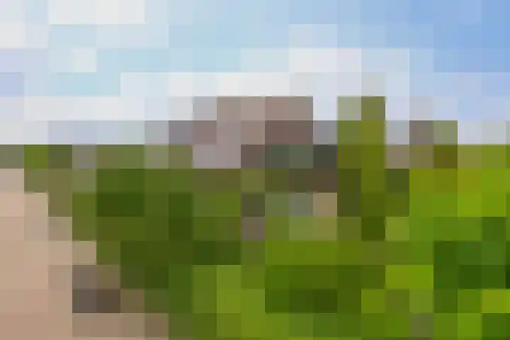 Breestraat 14 Krimpen aan den IJssel thumbnail 6