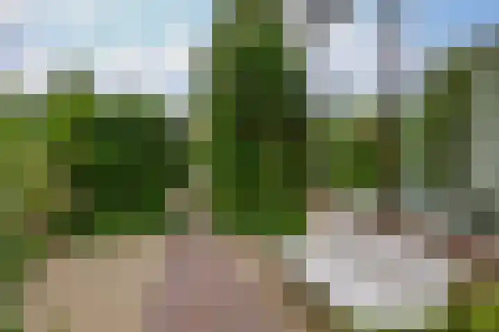 Breestraat 14 Krimpen aan den IJssel thumbnail 65