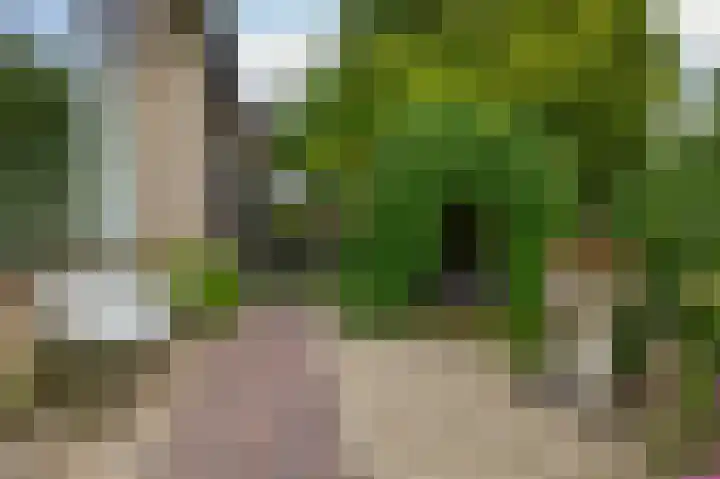 Breestraat 14 Krimpen aan den IJssel thumbnail 66