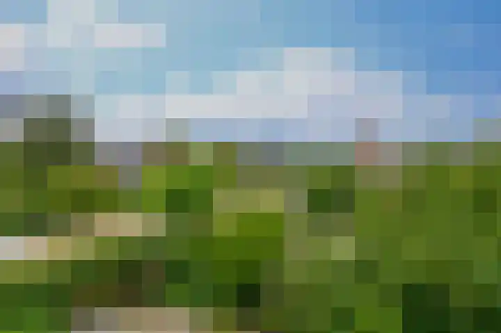 Breestraat 14 Krimpen aan den IJssel thumbnail 68