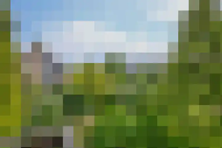 Breestraat 14 Krimpen aan den IJssel thumbnail 69