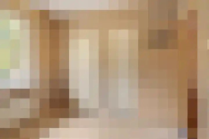 Breestraat 14 Maasbree thumbnail 12