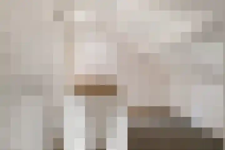 Breestraat 14 Maasbree thumbnail 19