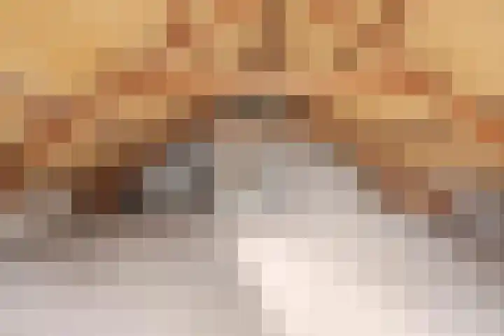 Breestraat 14 Maasbree thumbnail 21