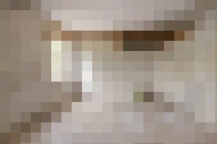 Breestraat 14 Maasbree thumbnail 23
