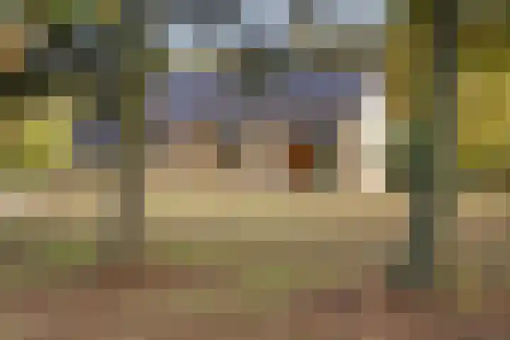 Breestraat 14 Maasbree thumbnail 29