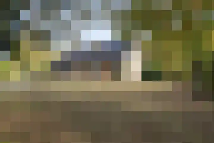Breestraat 14 Maasbree thumbnail 32