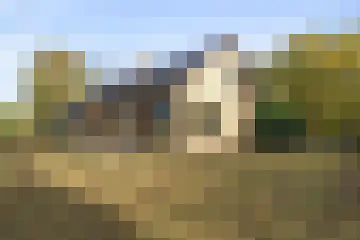 Breestraat 14 Maasbree thumbnail 33