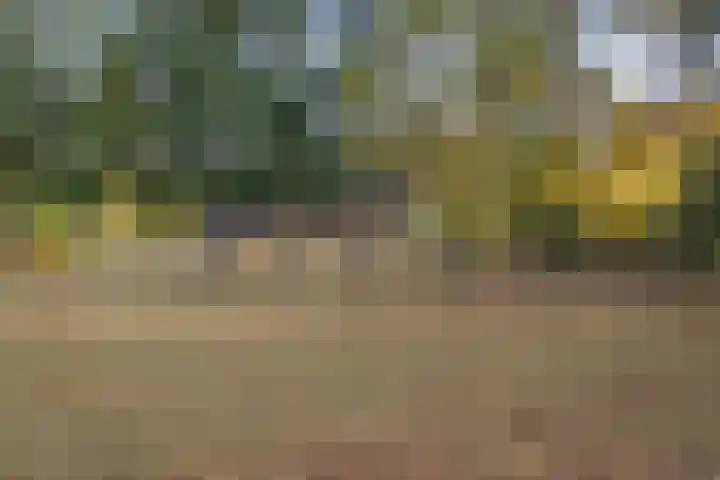 Breestraat 14 Maasbree thumbnail 35