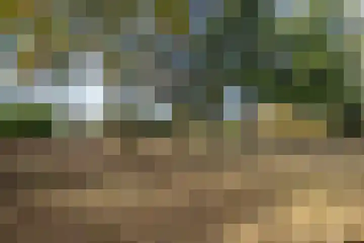 Breestraat 14 Maasbree thumbnail 36